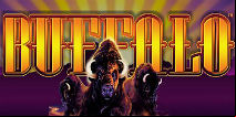 Buffalo Slot Review